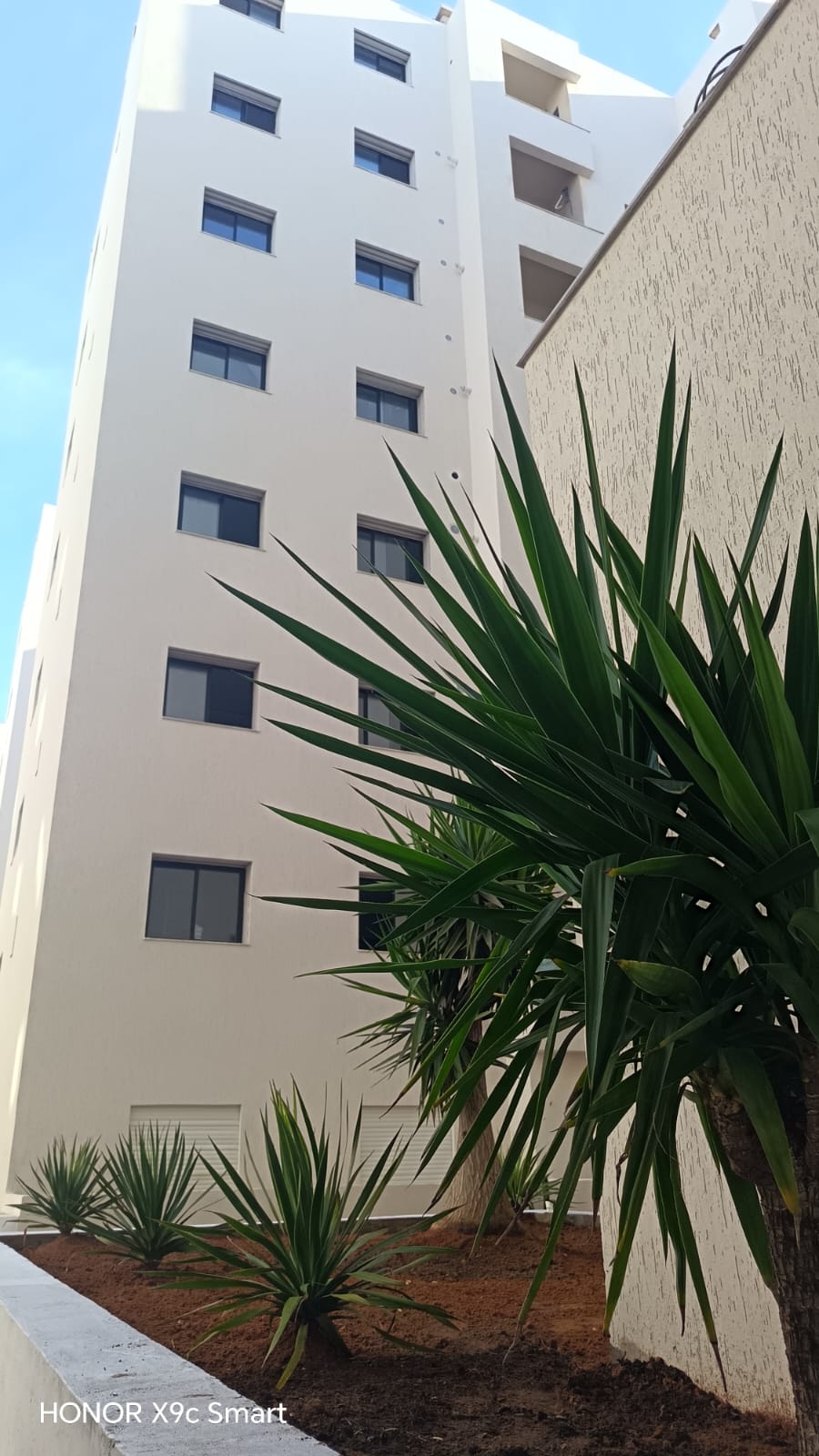 projet iris city-espace vert