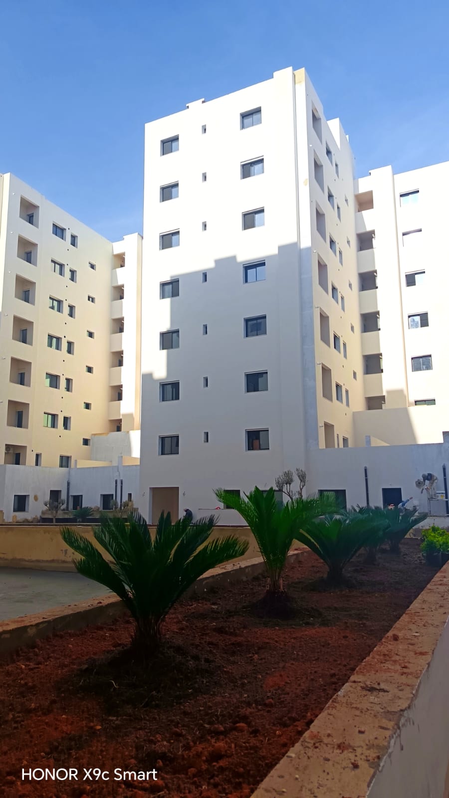 traveaux de plantation