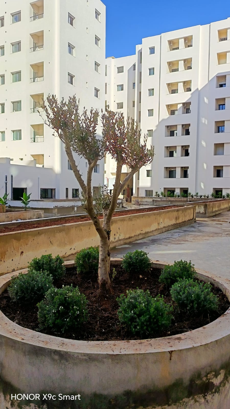 IRIS CITY se transforme : un nouvel élan pour nos espaces verts